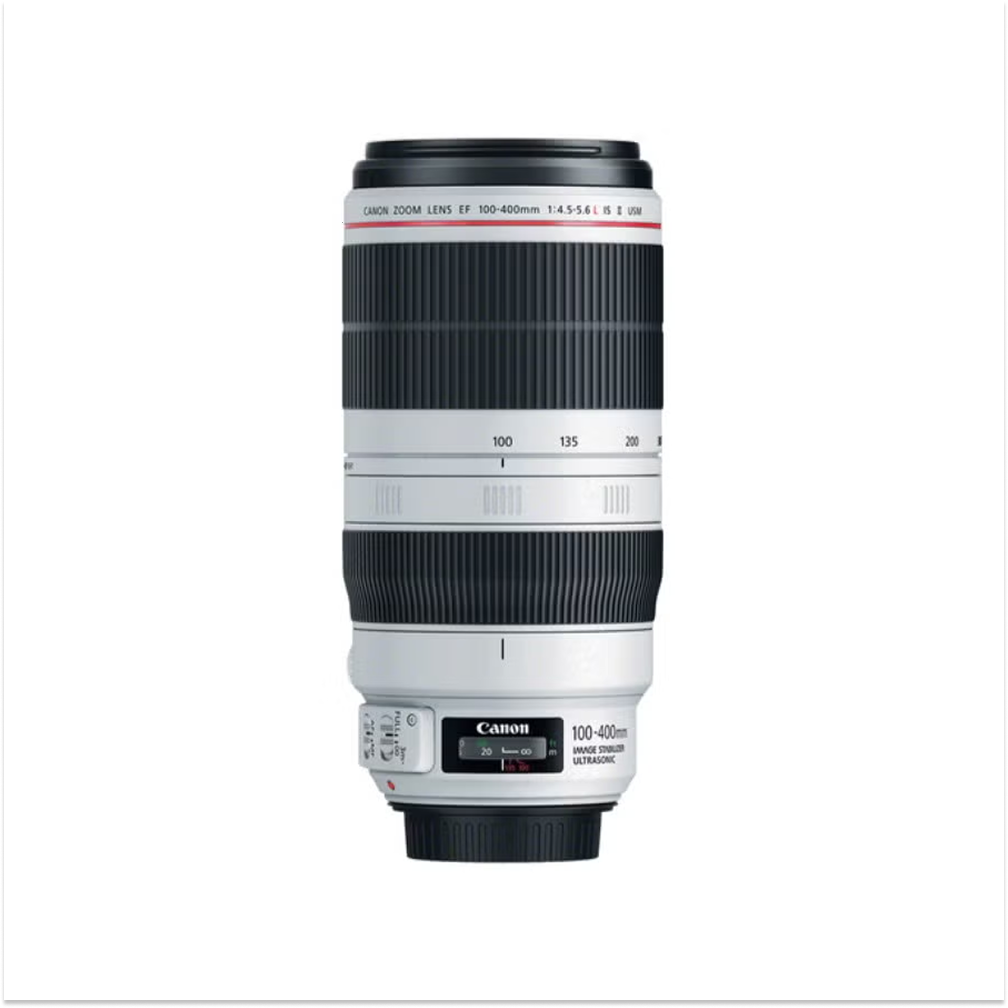 EF 100-400mm f/4.5-5.6L IS II USM Telephoto Zoom Lens For Digital Camera Black/White