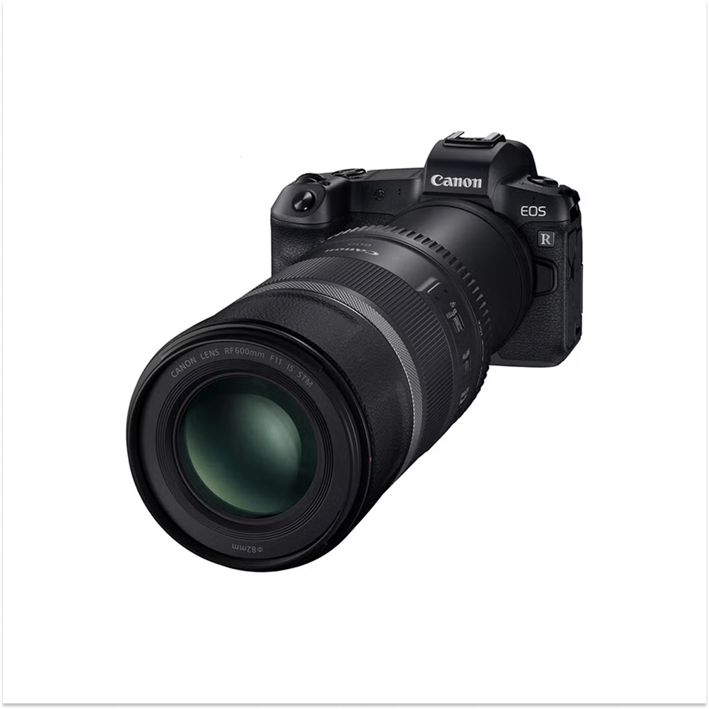 Canon RF 600mm f/11 IS STM Super Telephoto Lens (RF Mount, Image Stabilization)