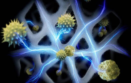 Dyson HJ10 HushJet Air Purifier – Compact Design, Powerful Electrostatic Filtration, Removes Pet Allergens - Image 5